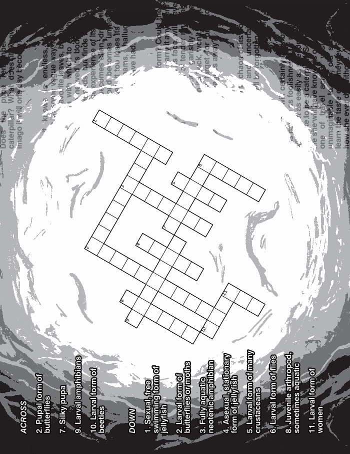 a crossword puzzle sits in the center of a posterized screencap of rakka's cocoon from haibane renmei. along the bottom are clues relating to various kinds of larva and pupa. along the top, obscured text reads: Does the pupa remember being a caterpillar? What does it know of the imago it will one day become? All it knows is endless, tumultuous change. In some vague way, it knows the flavor of its favorite leaves, but no longer has a mouth with which to eat them. It knows it once heaved its body along on stubby pseudopods, but finds itself now imprisoned. The experience of its worldly life fades and becomes alien, dreamlike. The outside world becomes unreal. As the flesh changes, it too loses its reality. Dreams within dreams, hallucinating bodies it may once have had. And what of this new form? Could these spindly new legs really carry it anywhere? With this long tube on its face, will it ever enjoy a proper meal of tender roughage again? And these garishly colored protrusions from its back, won’t that just make it an easy target for predators, visible by birds leagues away? In time the roaring chaos of its body will end. The pain and uncertainty of transformation will be forgotten. In time she will certainly look back upon this period as foolishness. Or maybe she will forget as easily as she forgets what it was like to be a caterpillar. Soon, the only life she will have known is one of soaring, one of travel across vast distances, unimaginable to her old self. She will learn the taste of honeydew and wonder how she ever did without.